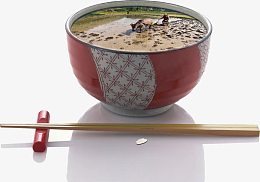 珍惜粮食创意广告