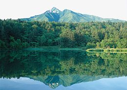 青山绿水