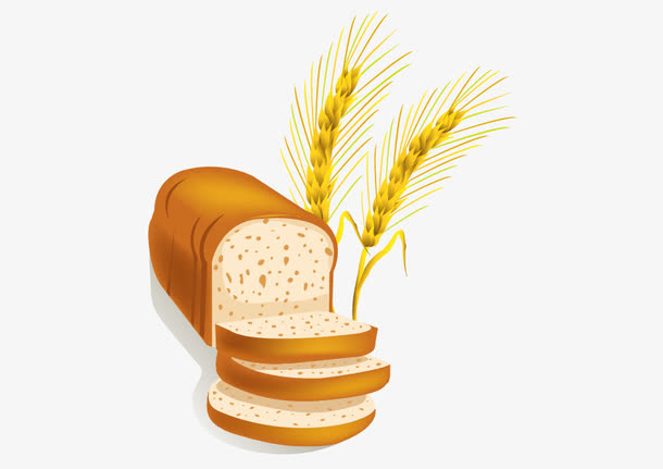 矢量全麦面包