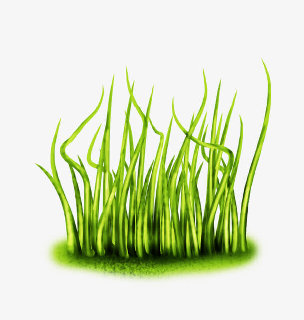 绿色水草素材免费下载_觅元素