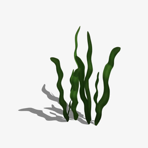 水草素材免费下载_觅元素