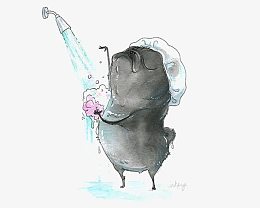 沙皮狗