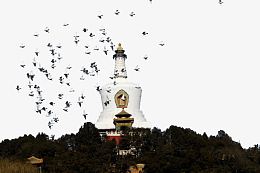 颐和园白塔