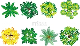 水彩树冠矢量