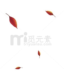 漂浮秋叶