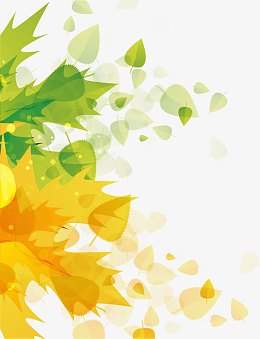 水彩叶子矢量图