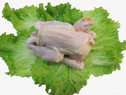 生菜包白条鸡