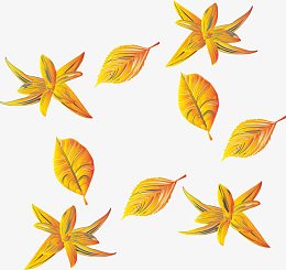 树叶和花素材
