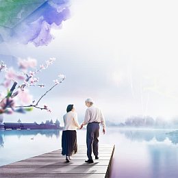 夕阳红元素