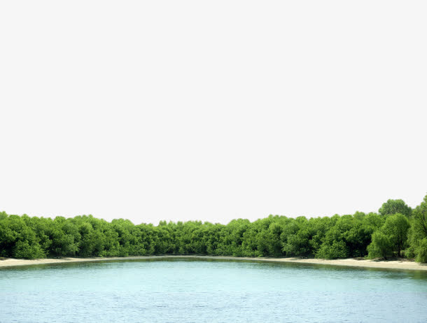 树木免抠素材免费下载_觅元素51yuansu.com