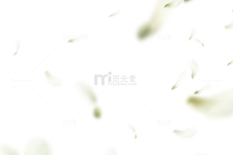 白色花瓣漂浮