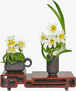 水仙花
