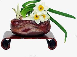 中国名花水仙