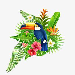 卡通手绘多彩鹦鹉