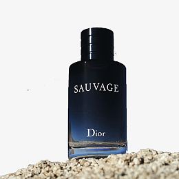 迪奥(Dior)旷野男士淡香水