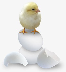 png破蛋而出的恐龙epspngpng卡通小鸡破壳而出png素材pngpng卡通破壳