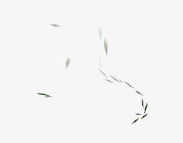茶叶