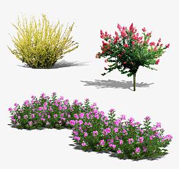 花丛  花  园景 花树