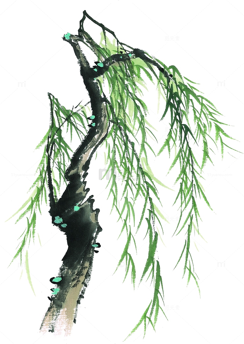 中国风手绘柳树水墨画