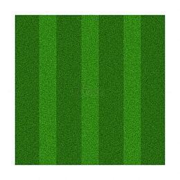 绿色草坪背景装饰