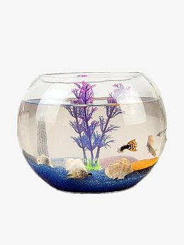 海底世界