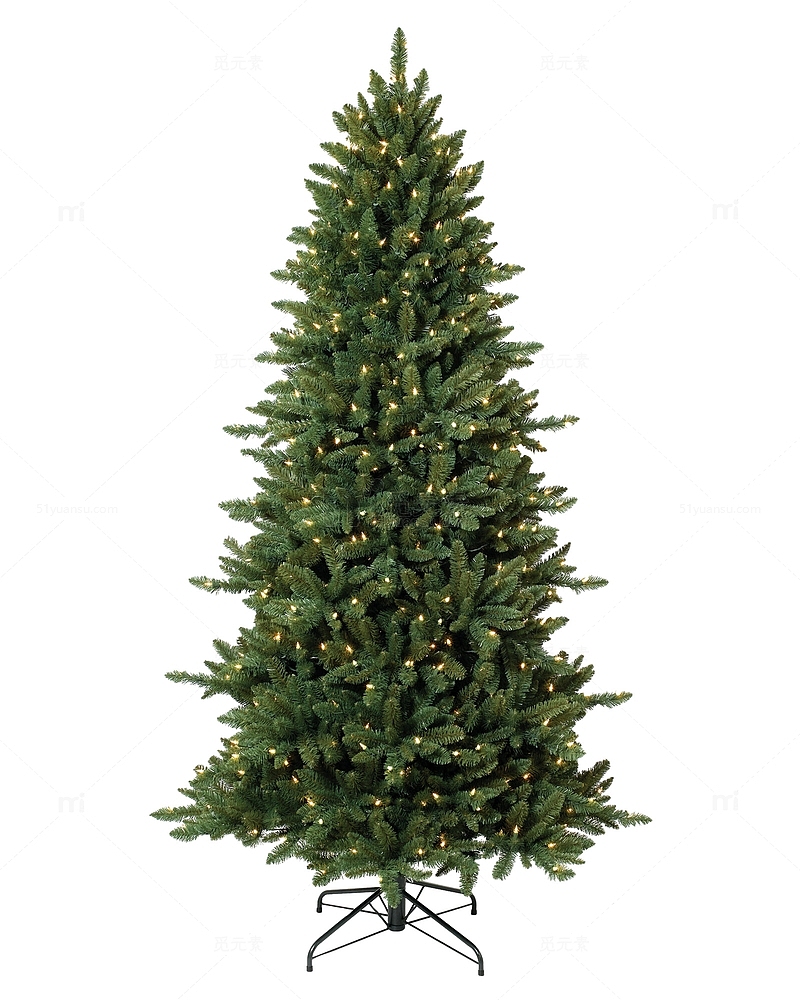 圣诞节无挂饰松树