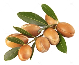 新鲜坚果