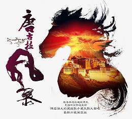 2017藏文化元素