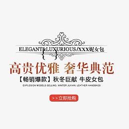 精选箱包奢华艺术字体文字排版