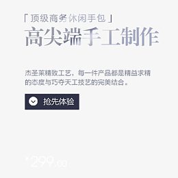 精选箱包奢华艺术字体文字排版