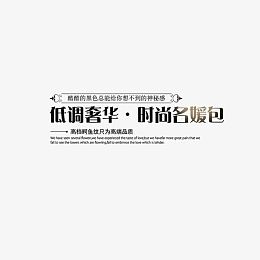 精选箱包奢华艺术字体文字排版