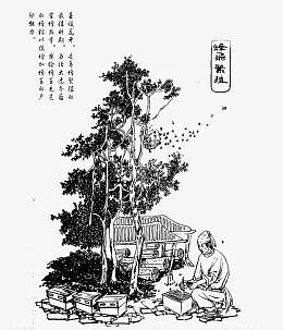 养蜂人插画
