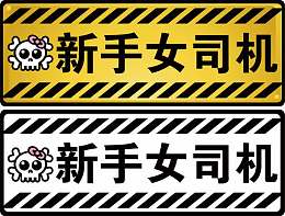 新手女司机