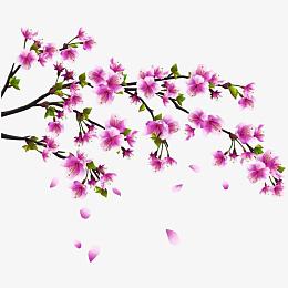 朵朵盛开的桃花