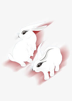 卡通小白兔