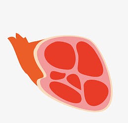 肉