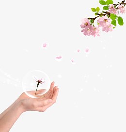 手中的气泡桃花