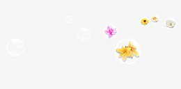 花朵透明泡泡效果元素