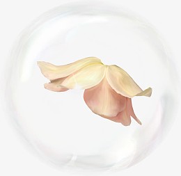 气泡
