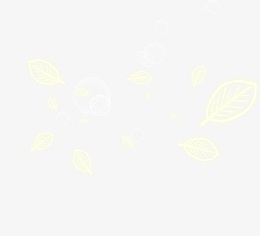 banner背景