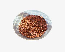一碟决明子茶原料