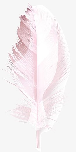 粉色鸡毛