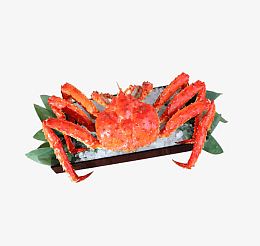 冰上的帝王蟹