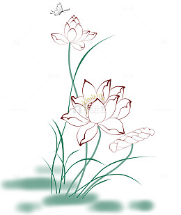 荷花