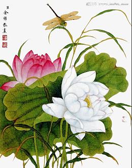 手绘唯美荷花素材