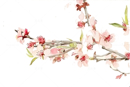 唯美中国古风水彩插画