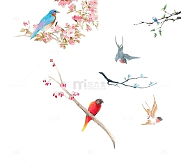 中国风花鸟素材
