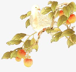 中式工笔画手绘花鸟素材