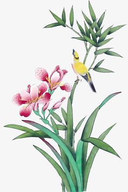 花鸟工笔画