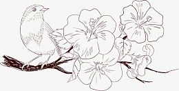 手绘中国花鸟画